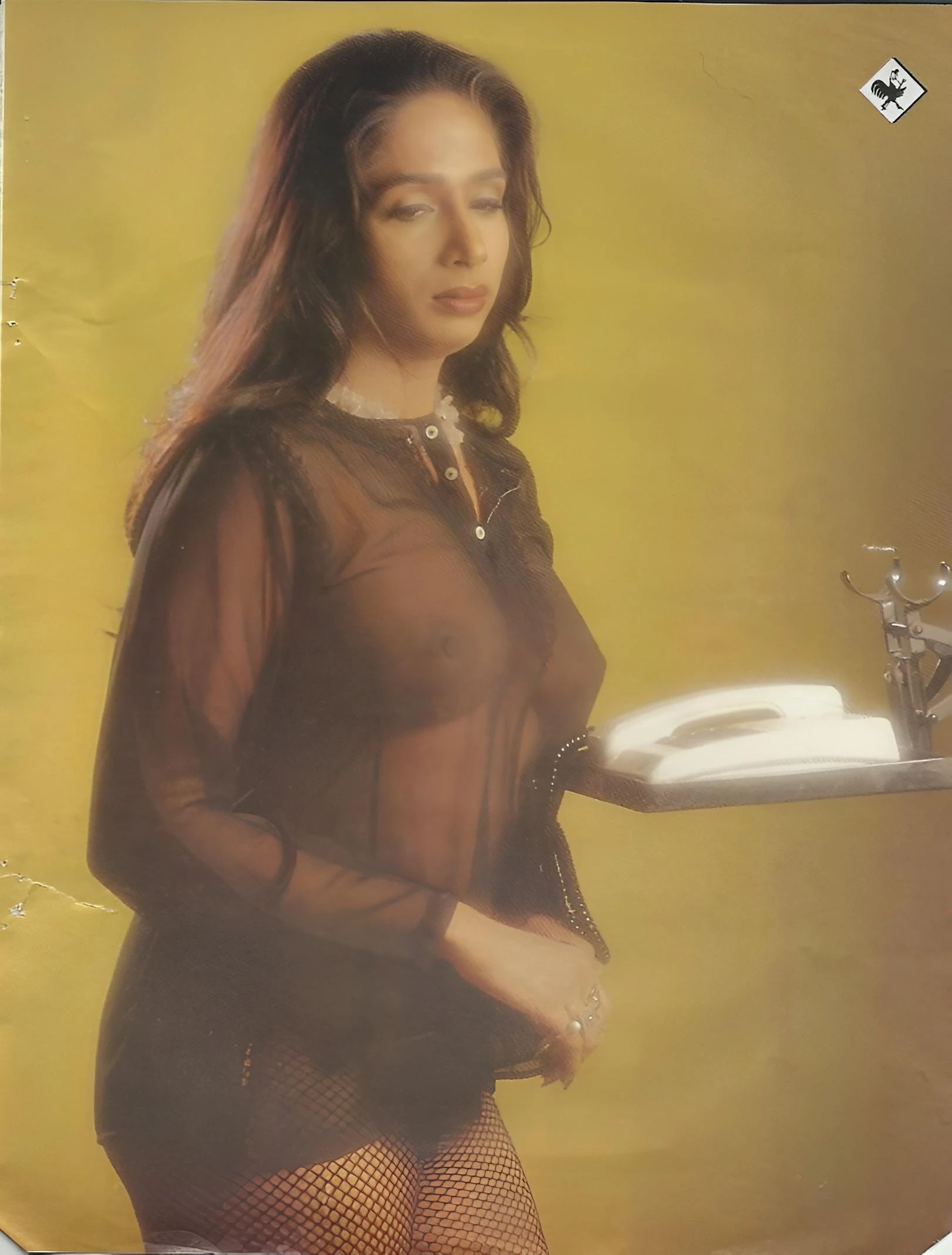 Desi vintage model in a sheer, dark brown blouse and black fishnet stockings holds a tray with a teapot, exuding serene elegance