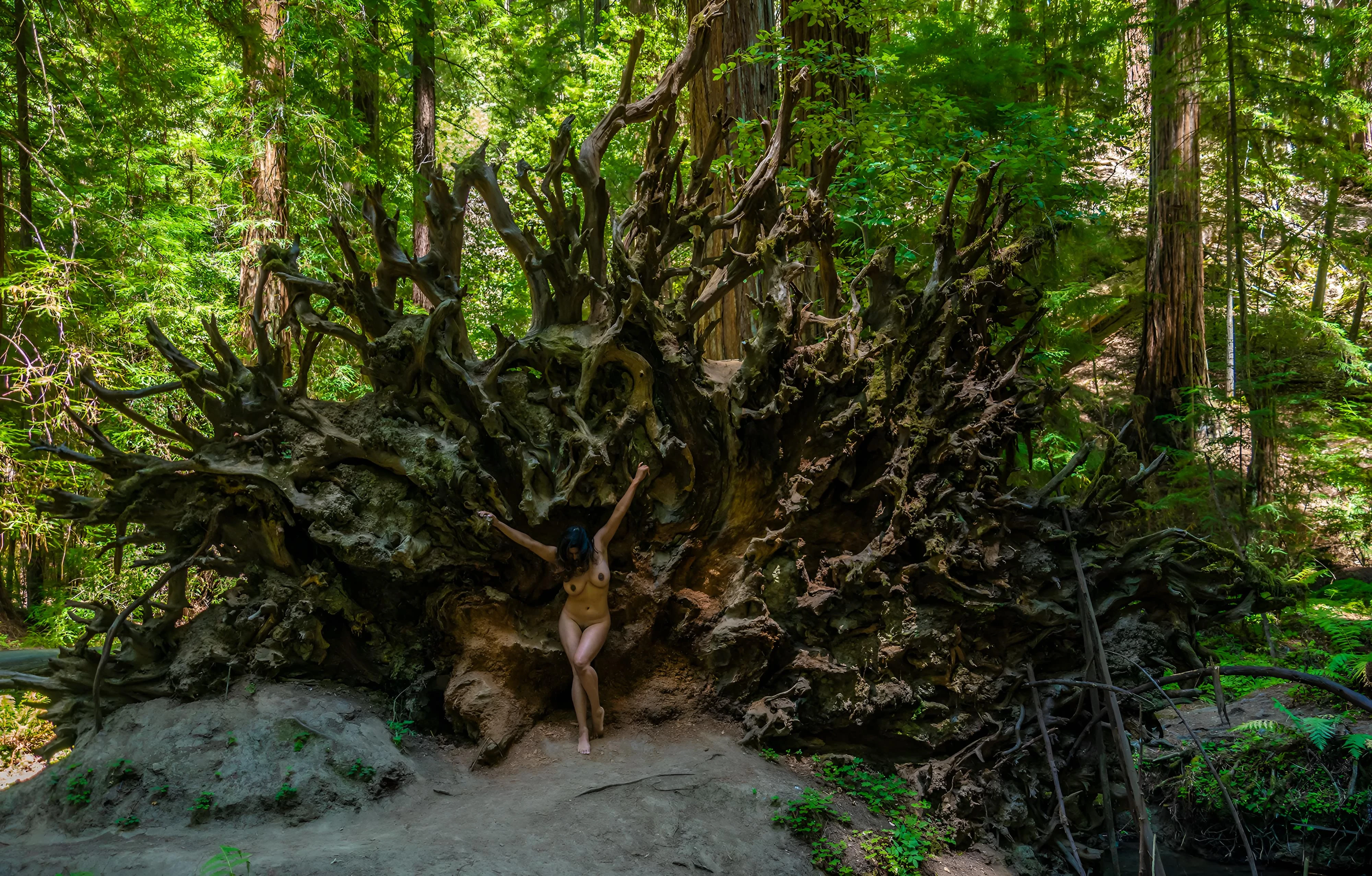 Nude goddess Dakini bares her lithe body and dark, hairy pussy in a forest, her arms outstretched as if embracing the ancient roots